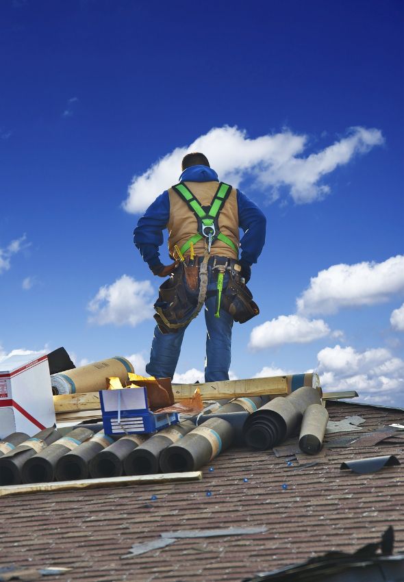 Professional Roofing Service